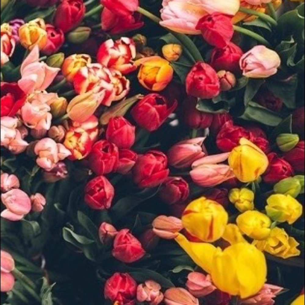 • j u s t   l o v e l y •